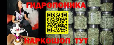 дживик Балахна