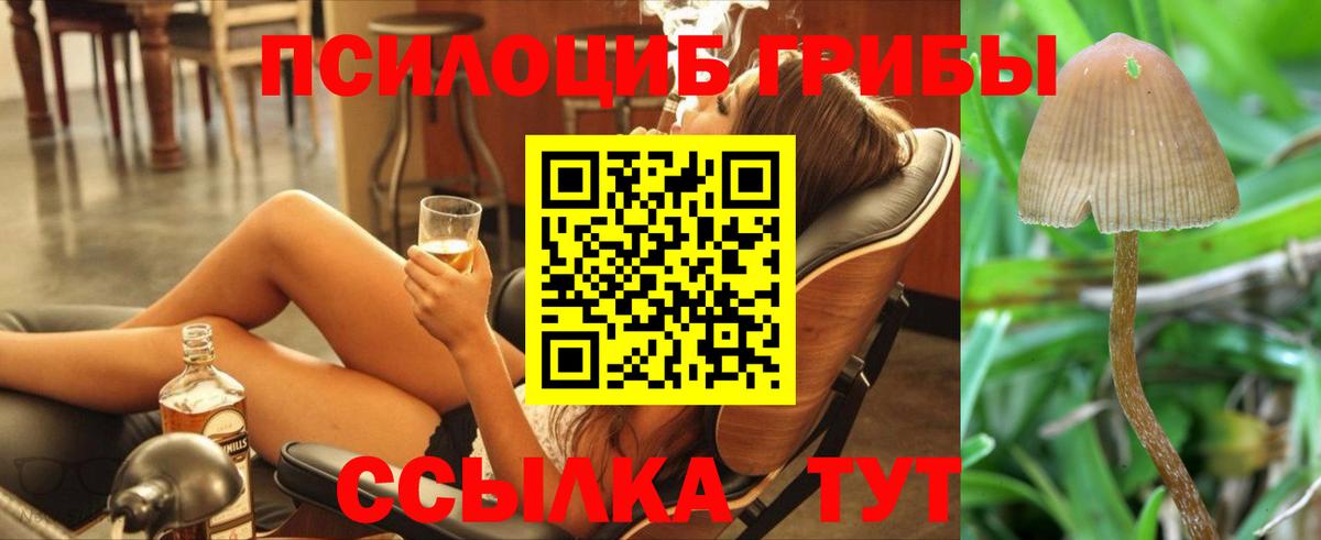 Псилоцибиновые грибы Psilocybe  Вход с VPN  наркота  Ахтубинск 